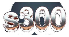 s300 logo